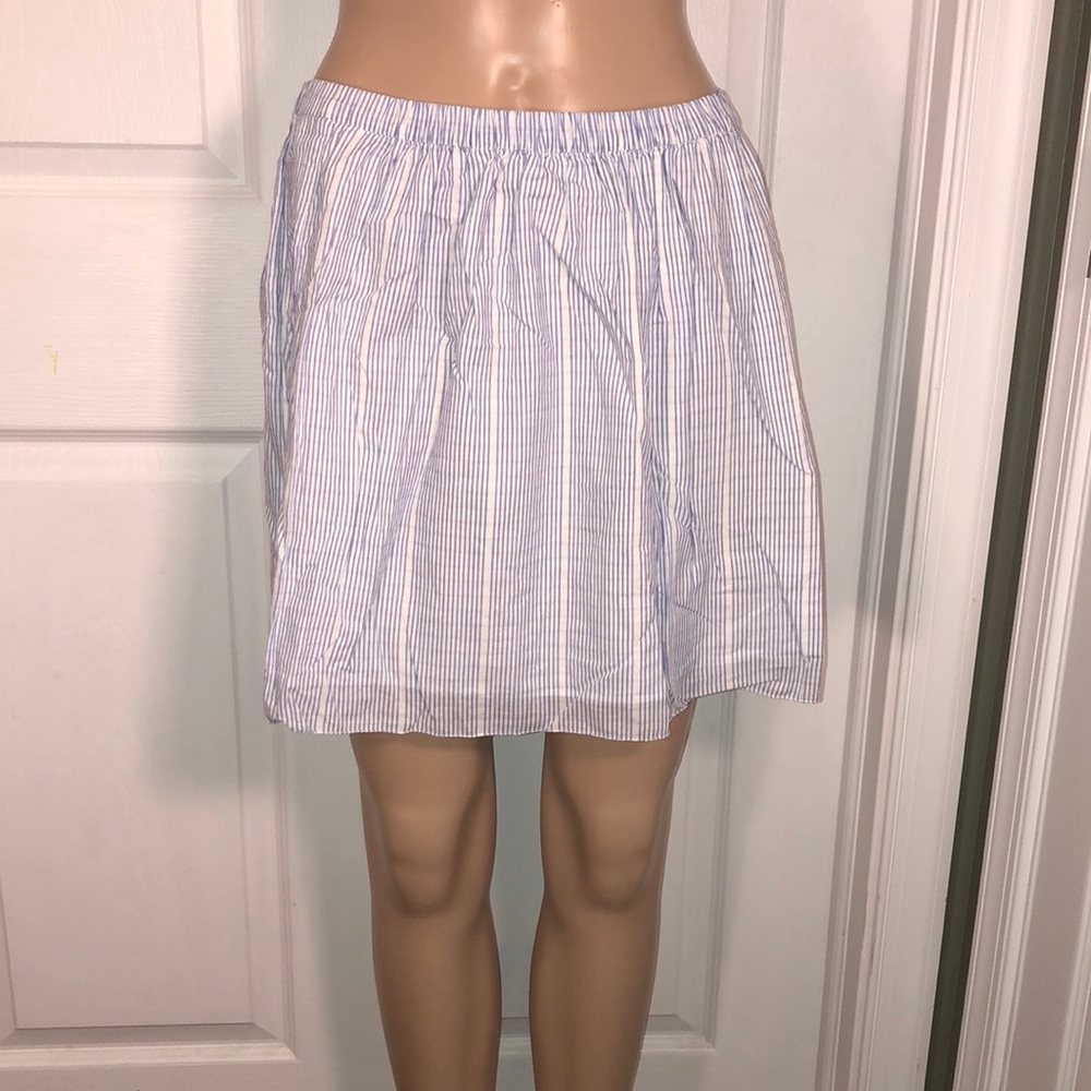 J. Crew Blue & White Skirt 2